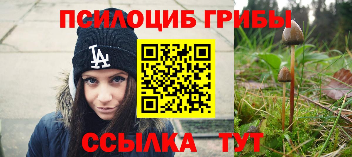 Псилоцибиновые грибы Psilocybine cubensis  Вход с VPN  Кызыл 