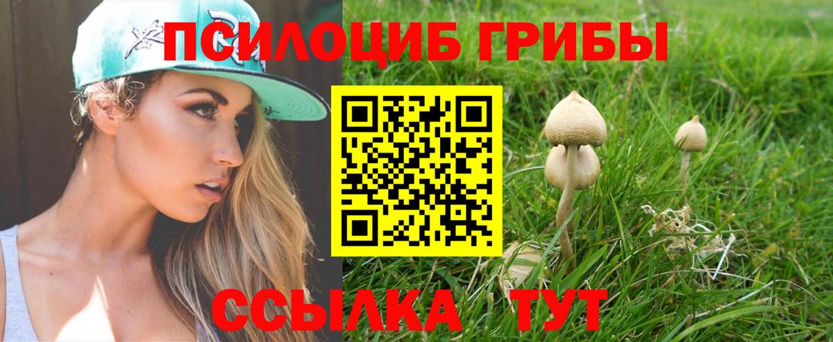 Псилоцибиновые грибы GOLDEN TEACHER Кызыл
